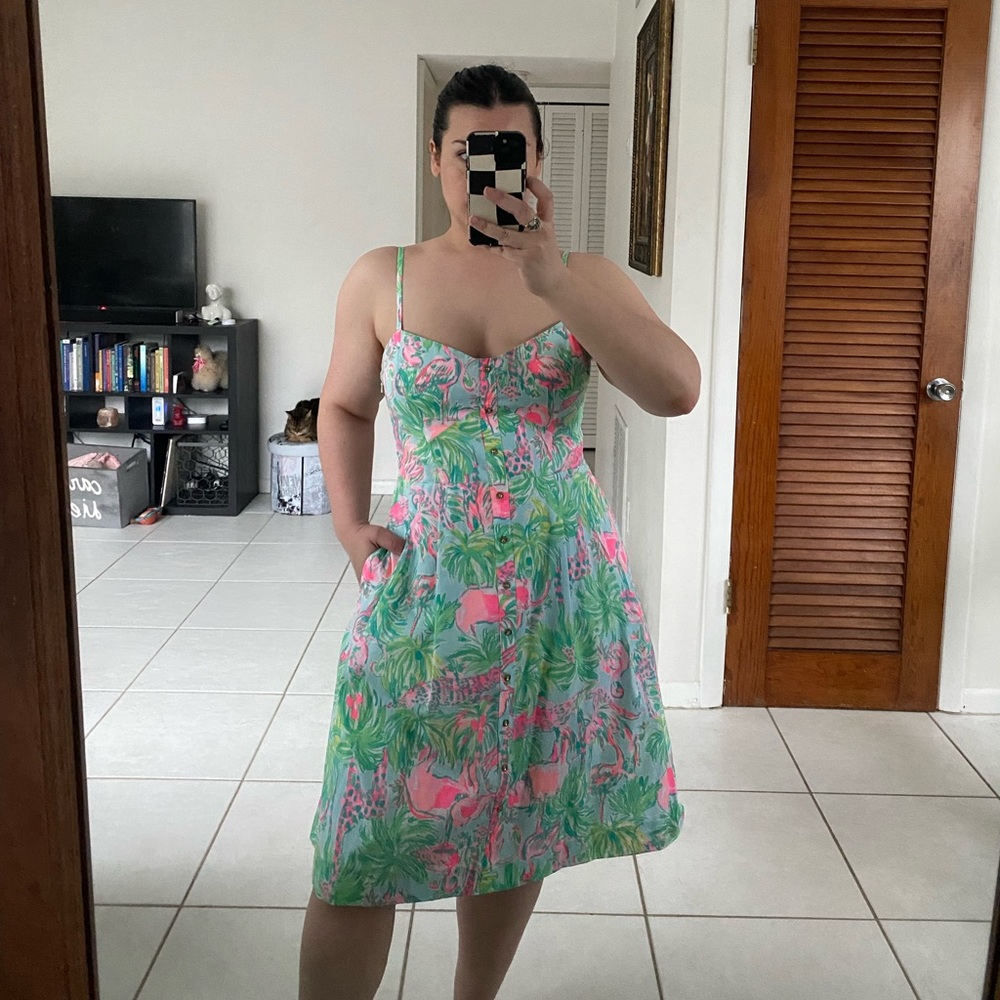 Lilly Pulitzer Easton Dress - Sea Salt Blue Parade Print Size 8